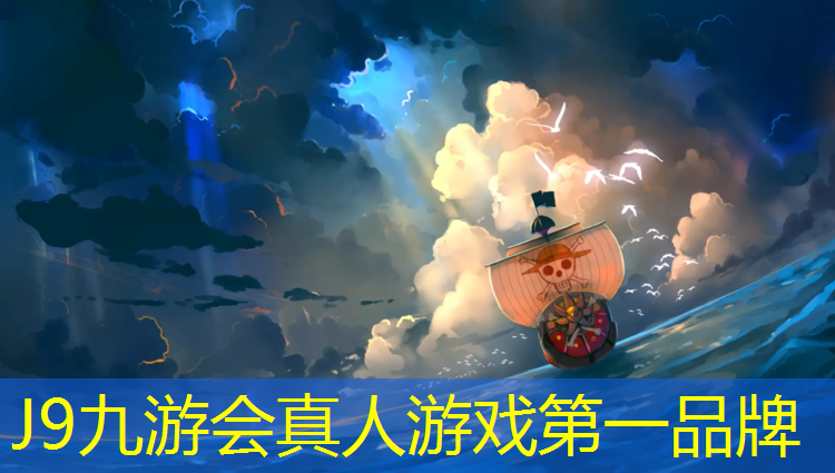 J9九游会官网登录入口：网球网价格表最新消息